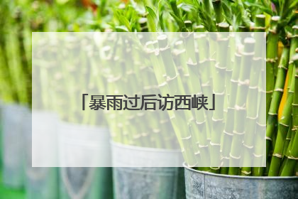 暴雨过后访西峡