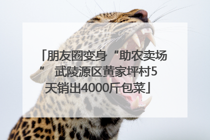 朋友圈变身“助农卖场” 武陵源区黄家坪村5天销出4000斤包菜