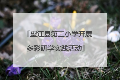 望江县第三小学开展多彩研学实践活动