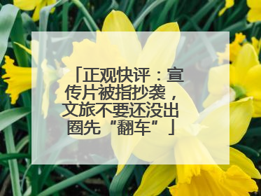 正观快评：宣传片被指抄袭，文旅不要还没出圈先“翻车”