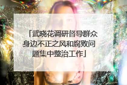 武晓花调研督导群众身边不正之风和腐败问题集中整治工作