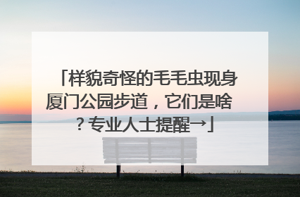样貌奇怪的毛毛虫现身厦门公园步道，它们是啥？专业人士提醒→