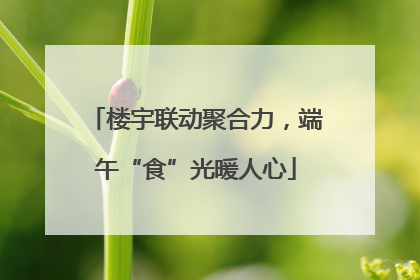 楼宇联动聚合力，端午“食”光暖人心