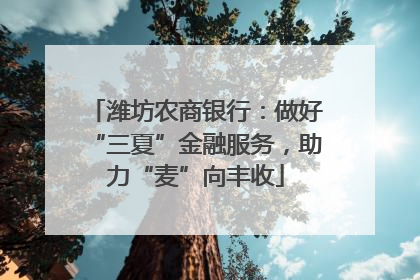 潍坊农商银行：做好“三夏”金融服务，助力“麦”向丰收