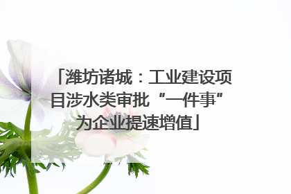潍坊诸城：工业建设项目涉水类审批“一件事” 为企业提速增值