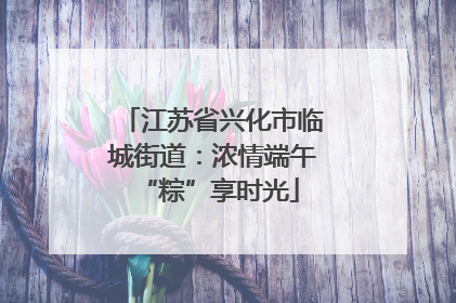 江苏省兴化市临城街道：浓情端午 “粽”享时光