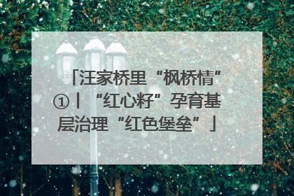 汪家桥里“枫桥情”①丨“红心籽”孕育基层治理“红色堡垒”