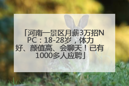 河南一景区月薪3万招NPC：18-28岁，体力好、颜值高、会聊天！已有1000多人应聘