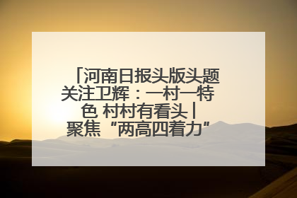 河南日报头版头题关注卫辉：一村一特色 村村有看头 ︳聚焦“两高四着力”·一“县”观察