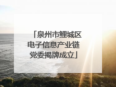 泉州市鲤城区电子信息产业链党委揭牌成立
