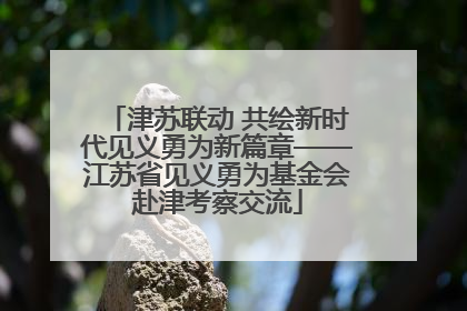 津苏联动 共绘新时代见义勇为新篇章——江苏省见义勇为基金会赴津考察交流