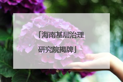 海南基层治理研究院揭牌