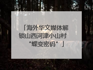 海外华文媒体解锁山西河津小山村“蝶变密码”