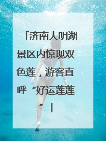 济南大明湖景区内惊现双色莲，游客直呼“好运莲莲”