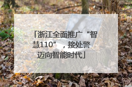 浙江全面推广“智慧110”，接处警迈向智能时代
