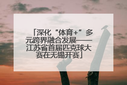 深化“体育+”多元跨界融合发展——江苏省首届匹克球大赛在无锡开赛