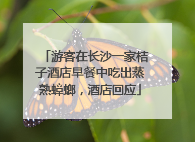 游客在长沙一家桔子酒店早餐中吃出蒸熟蟑螂，酒店回应