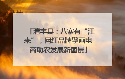 清丰县：八寨有“江来”，网红品牌擘画电商助农发展新图景