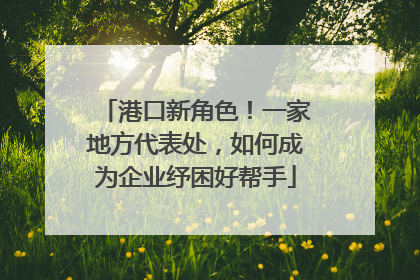 港口新角色！一家地方代表处，如何成为企业纾困好帮手