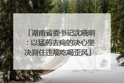湖南省委书记沈晓明：以猛药去疴的决心坚决刹住违规吃喝歪风
