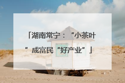 湖南常宁：“小茶叶”成富民“好产业”