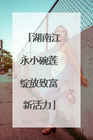 湖南江永小碗莲绽放致富新活力