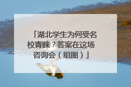 湖北学生为何受名校青睐？答案在这场咨询会（组图）