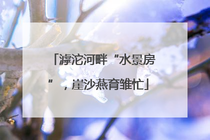 滹沱河畔“水景房”，崖沙燕育雏忙