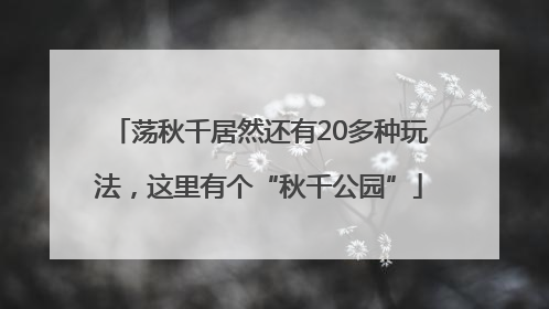 荡秋千居然还有20多种玩法，这里有个“秋千公园”