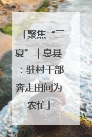 聚焦“三夏”｜息县：驻村干部奔走田间为农忙