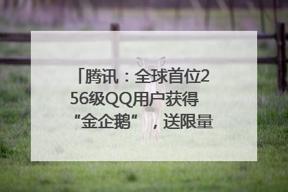 腾讯：全球首位256级QQ用户获得“金企鹅”，送限量版神秘惊喜等礼物