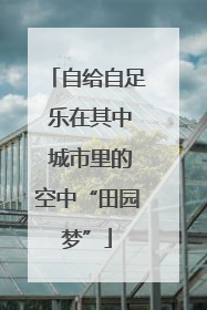 自给自足 乐在其中 城市里的空中“田园梦”