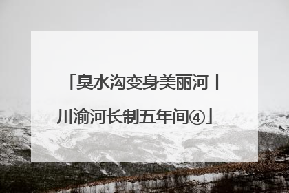 臭水沟变身美丽河丨川渝河长制五年间④