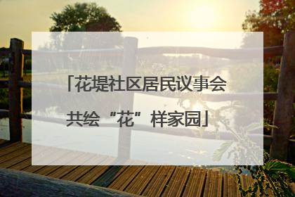 花堤社区居民议事会共绘“花”样家园