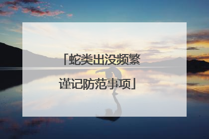 蛇类出没频繁 谨记防范事项