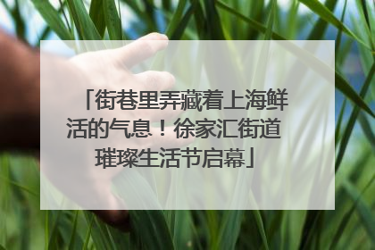 街巷里弄藏着上海鲜活的气息！徐家汇街道璀璨生活节启幕