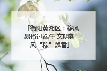 衡阳蒸湘区：移风易俗过端午 文明新风“粽”飘香