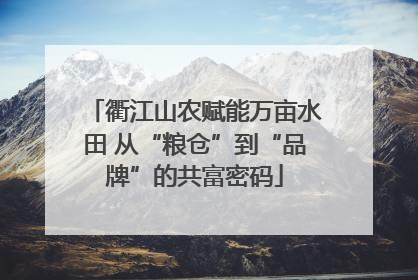 衢江山农赋能万亩水田 从“粮仓”到“品牌”的共富密码