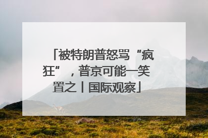 被特朗普怒骂“疯狂”，普京可能一笑置之丨国际观察