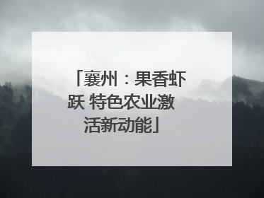 襄州：果香虾跃 特色农业激活新动能