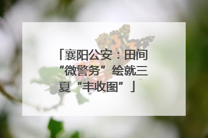 襄阳公安：田间“微警务”绘就三夏“丰收图”