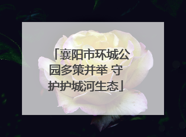 襄阳市环城公园多策并举 守护护城河生态