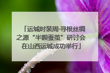 运城时装周·寻根丝绸之源“半颗蚕茧”研讨会在山西运城成功举行