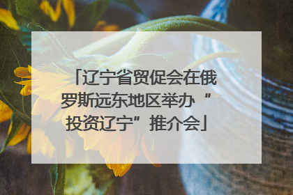 辽宁省贸促会在俄罗斯远东地区举办“投资辽宁”推介会