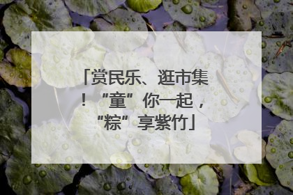 赏民乐、逛市集！“童”你一起，“粽”享紫竹