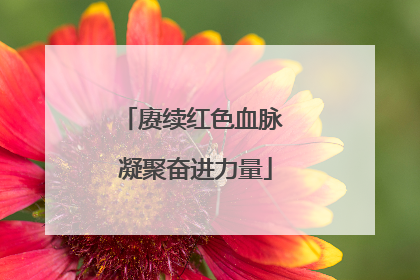 赓续红色血脉 凝聚奋进力量