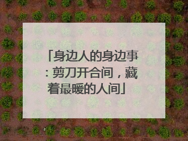 身边人的身边事：剪刀开合间，藏着最暖的人间