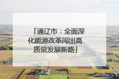 通辽市：全面深化能源改革闯出高质量发展新路