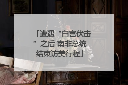 遭遇“白宫伏击”之后 南非总统结束访美行程