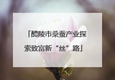 醴陵市桑蚕产业探索致富新“丝”路
